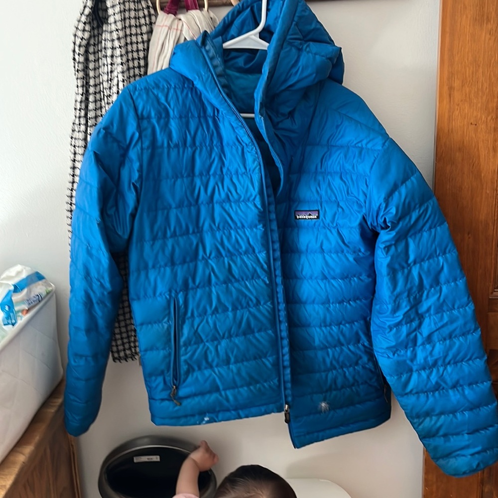 Patagonia Mens down hoodie